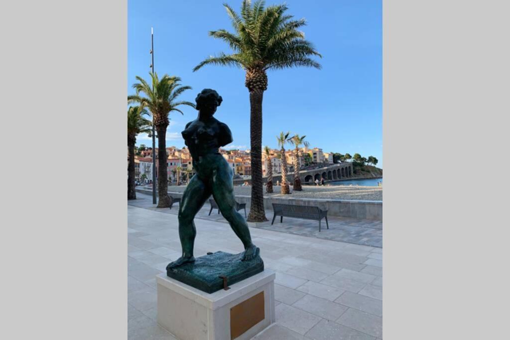 Attique à Banyuls - vue mer et montagne Exterior foto