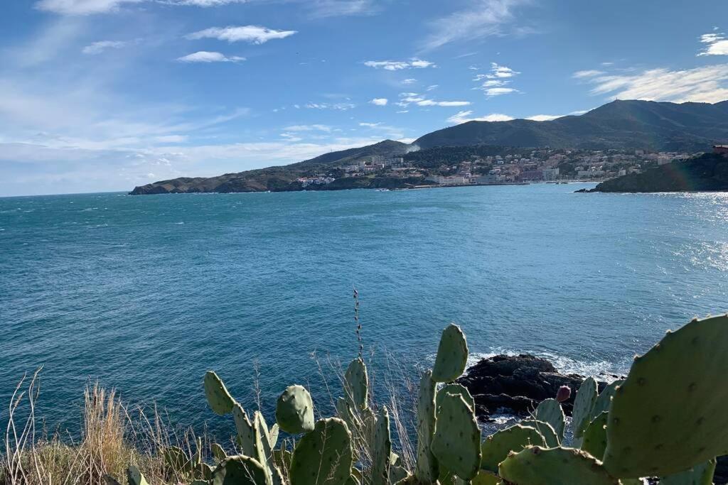 Attique à Banyuls - vue mer et montagne Exterior foto